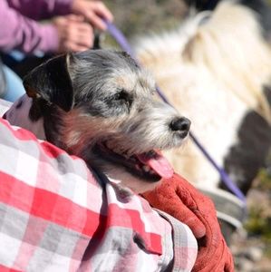 Meet your Posher, Gay